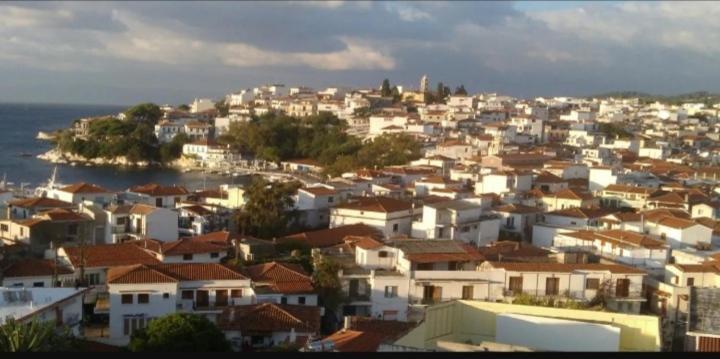 Apartamento Vaso House Skiathos Exterior foto